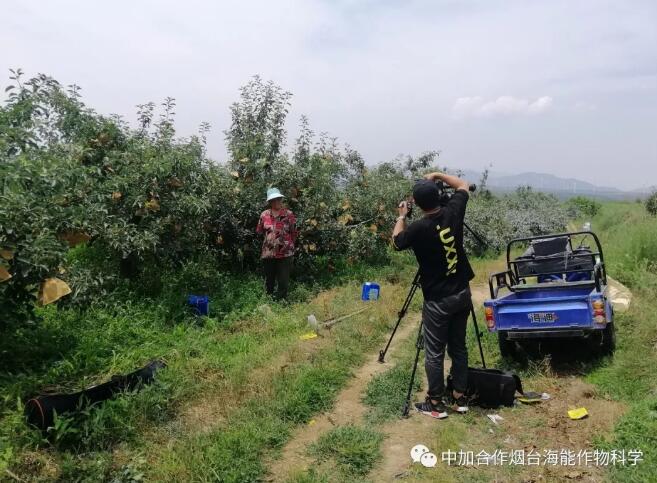 香蕉视频啪啪底肥免開溝 用效果說話！