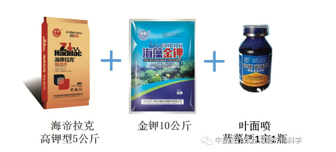 香蕉视频啪啪生物高品質葡萄全程“傻瓜式”施肥方案